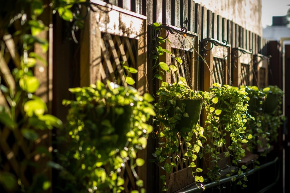 Suites On South Beach